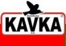 thumb_anketa-ridici-odpovida-autobusy-kavka-a-s-2
